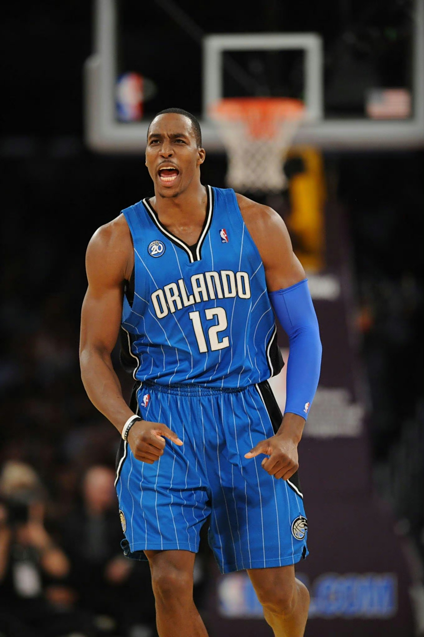 半区三角草 半区三角草